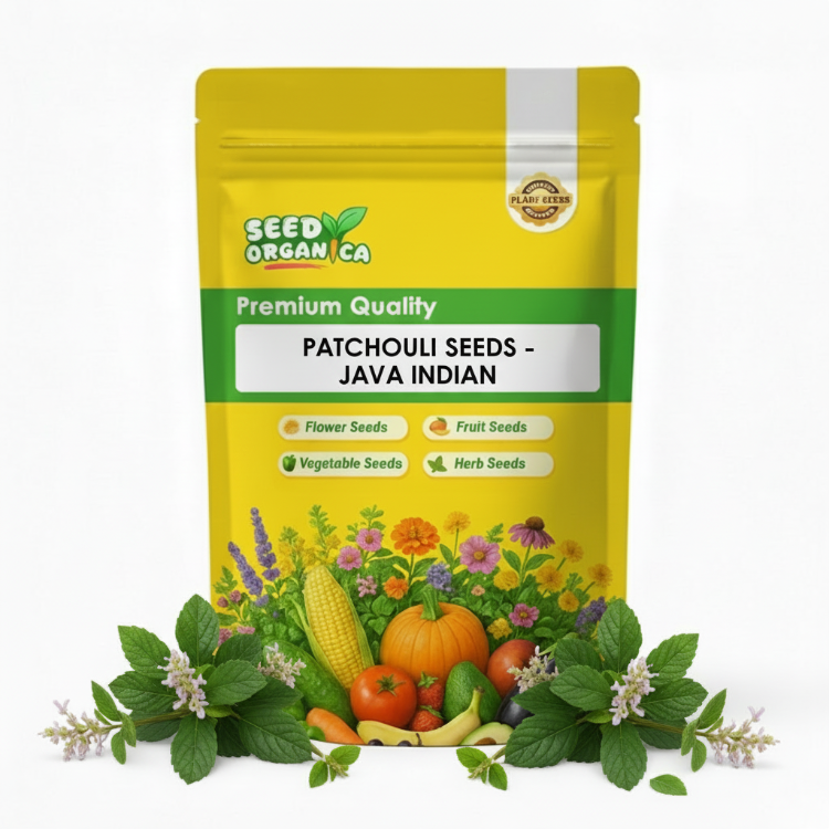 Patchouli Seeds – Java Indian