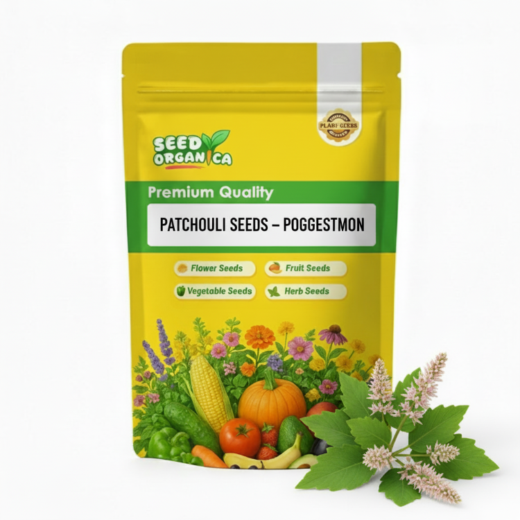 Patchouli Seeds – Pogostemon