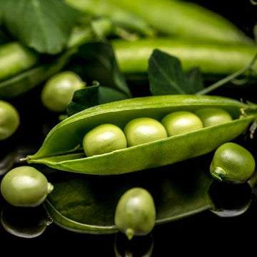 Pea Egg Seeds - Vegetable Plant