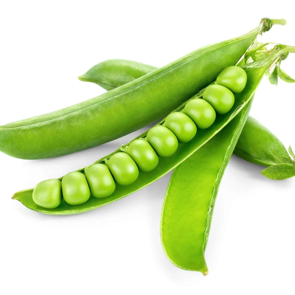 Pea Seeds – Fresh Green