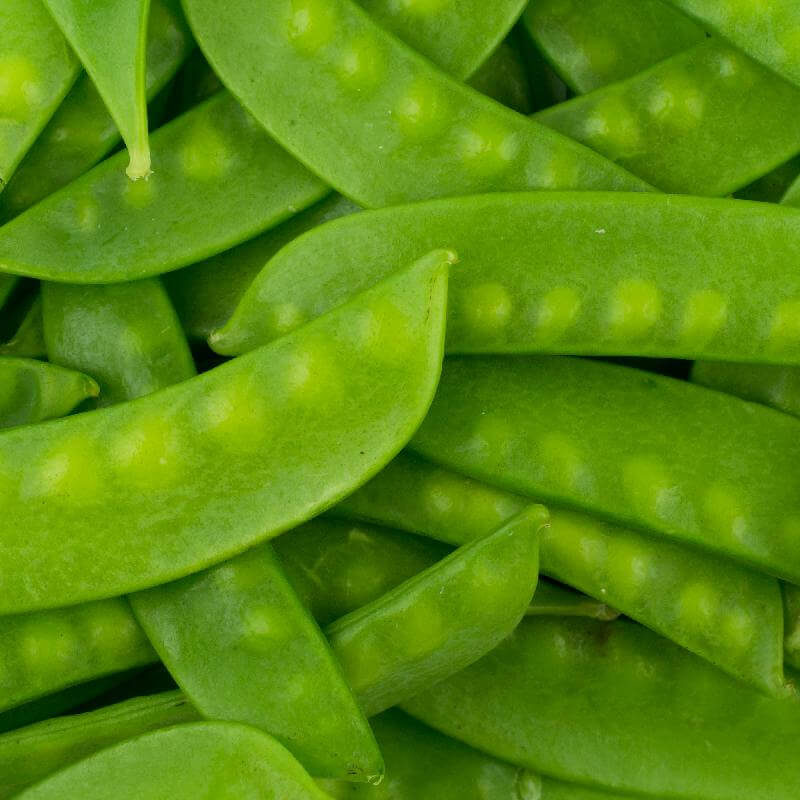 Pea Seeds – Oregon Sugar