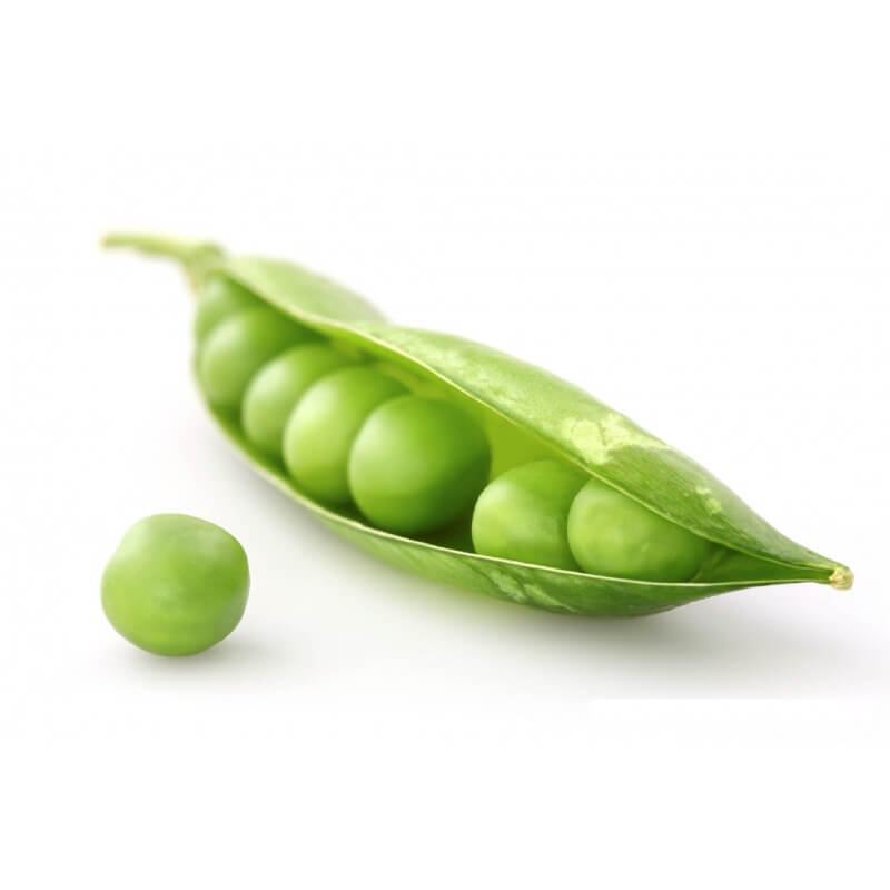 Pea Seeds – Fresh Green