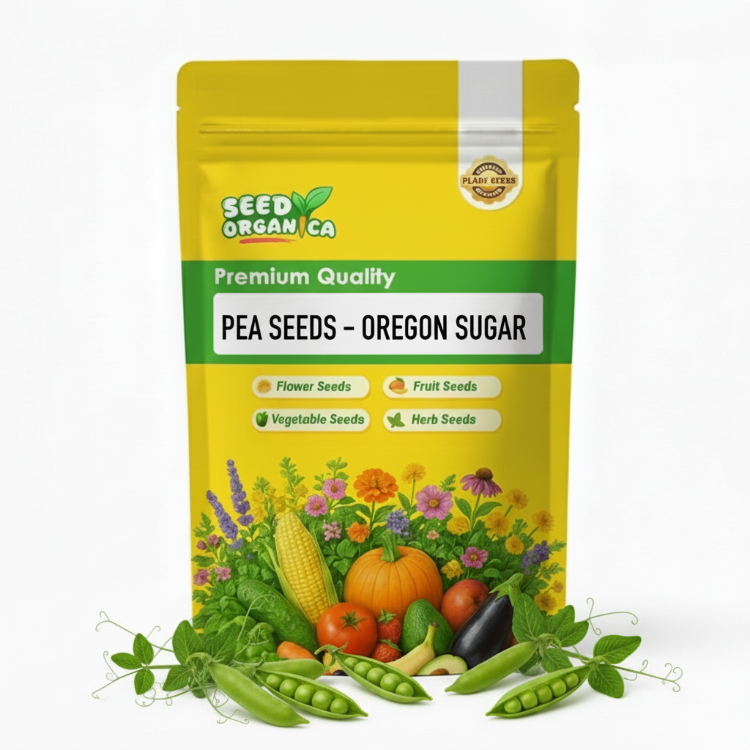 Pea Seeds – Oregon Sugar