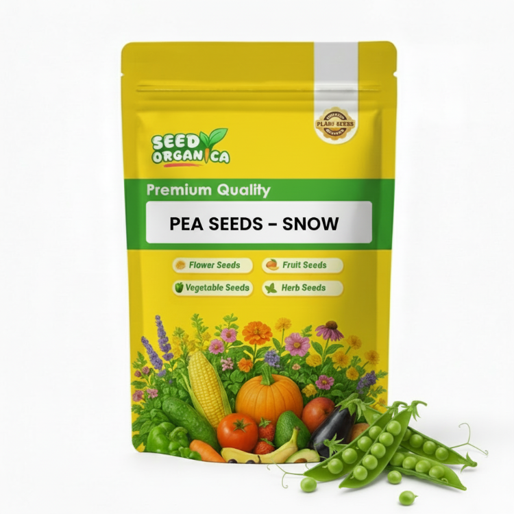 Pea Seeds – Snow