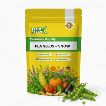 Pea Seeds – Snow