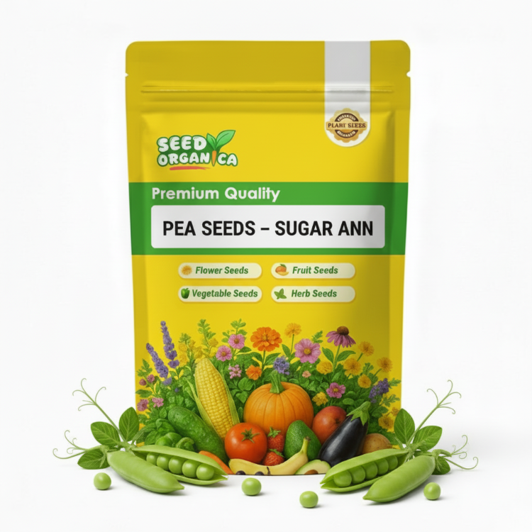 Pea Seeds – Sugar Ann