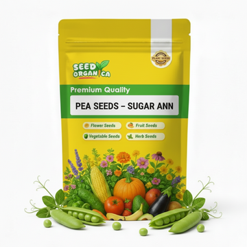Pea Seeds – Sugar Ann