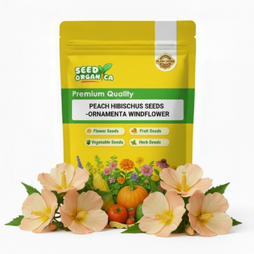 Peach Hibiscus Seeds –Ornamenta windflower