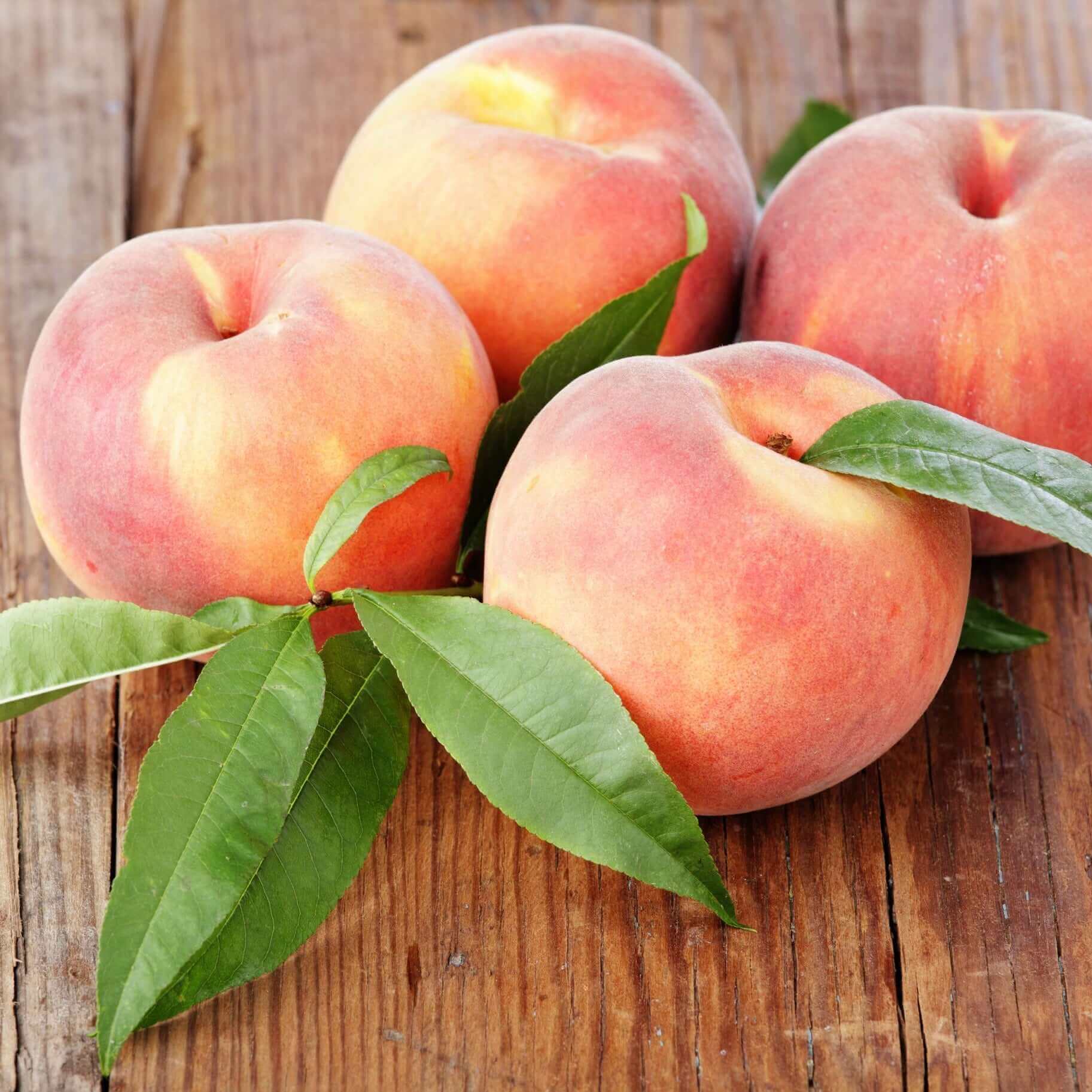 Peach Seeds – Babcock