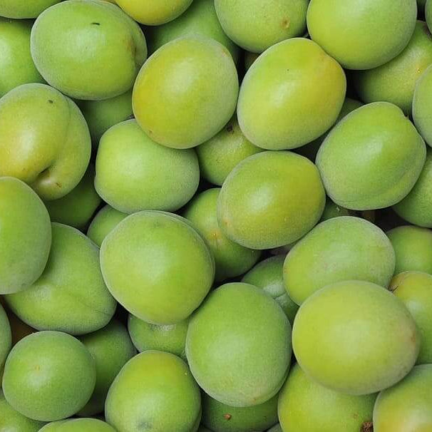 Peach Seeds – Green