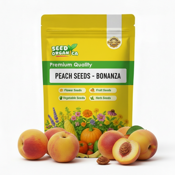 Peach Seeds - Bonanza