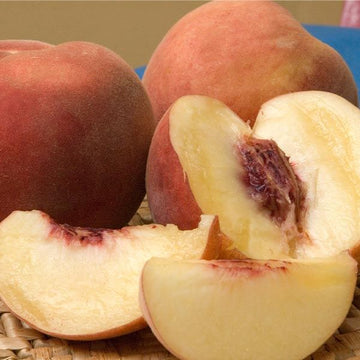 Peach Seeds – Arctic Supreme