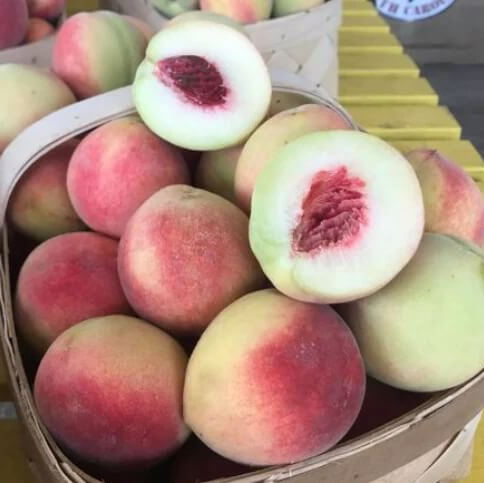 Peach Seeds – Georgia Belle