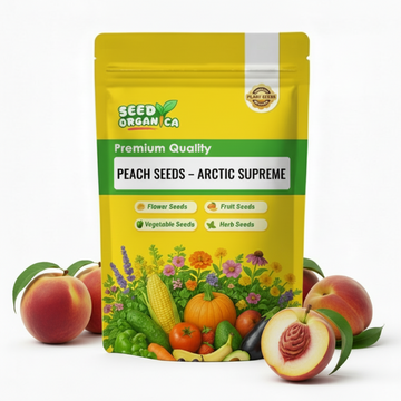 Peach Seeds – Arctic Supreme