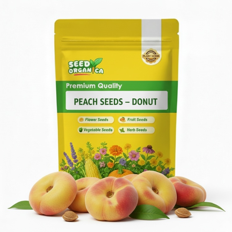 Peach Seeds – Donut