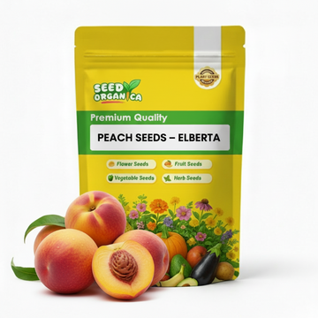 Peach Seeds – Elberta
