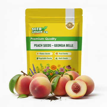 Peach Seeds – Georgia Belle