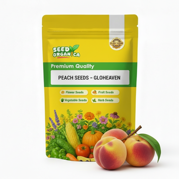 Peach Seeds – Glohaven