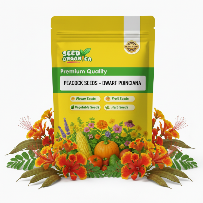 Peacock Seeds – Dwarf Poinciana