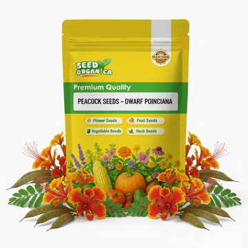 Peacock Seeds – Dwarf Poinciana