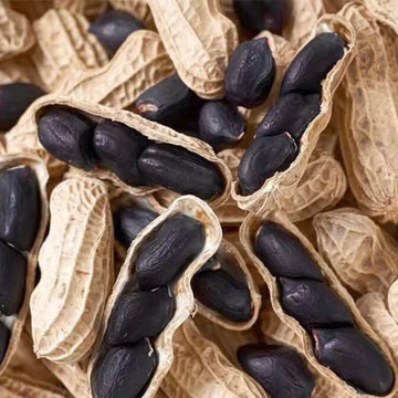 Peanut Seeds - Black 