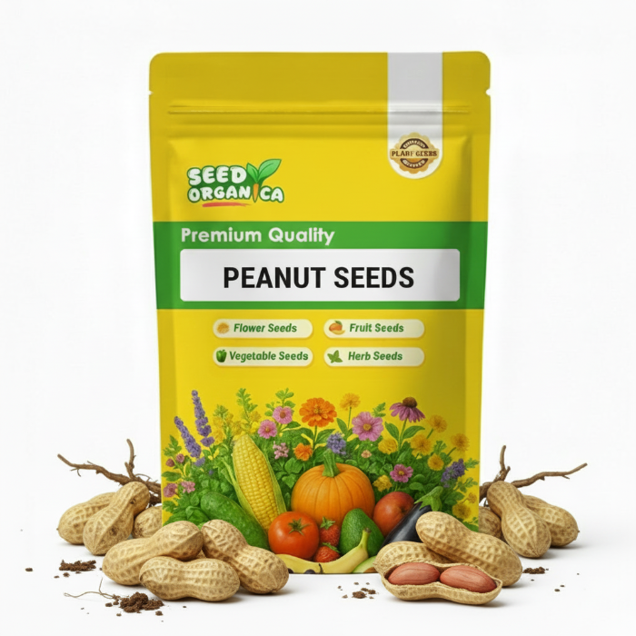 Peanut Seeds