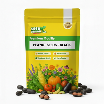 Peanut Seeds - Black