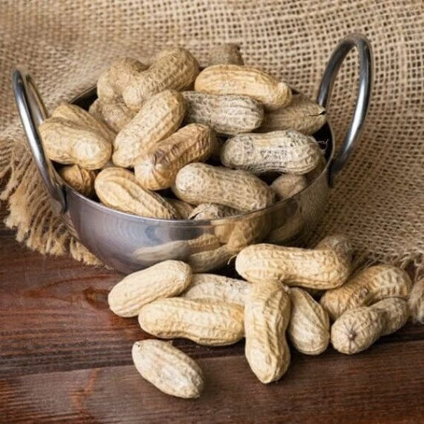Peanut Seeds - Spanish