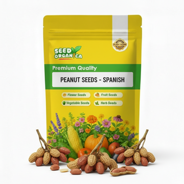 Peanut Seeds - Spanish