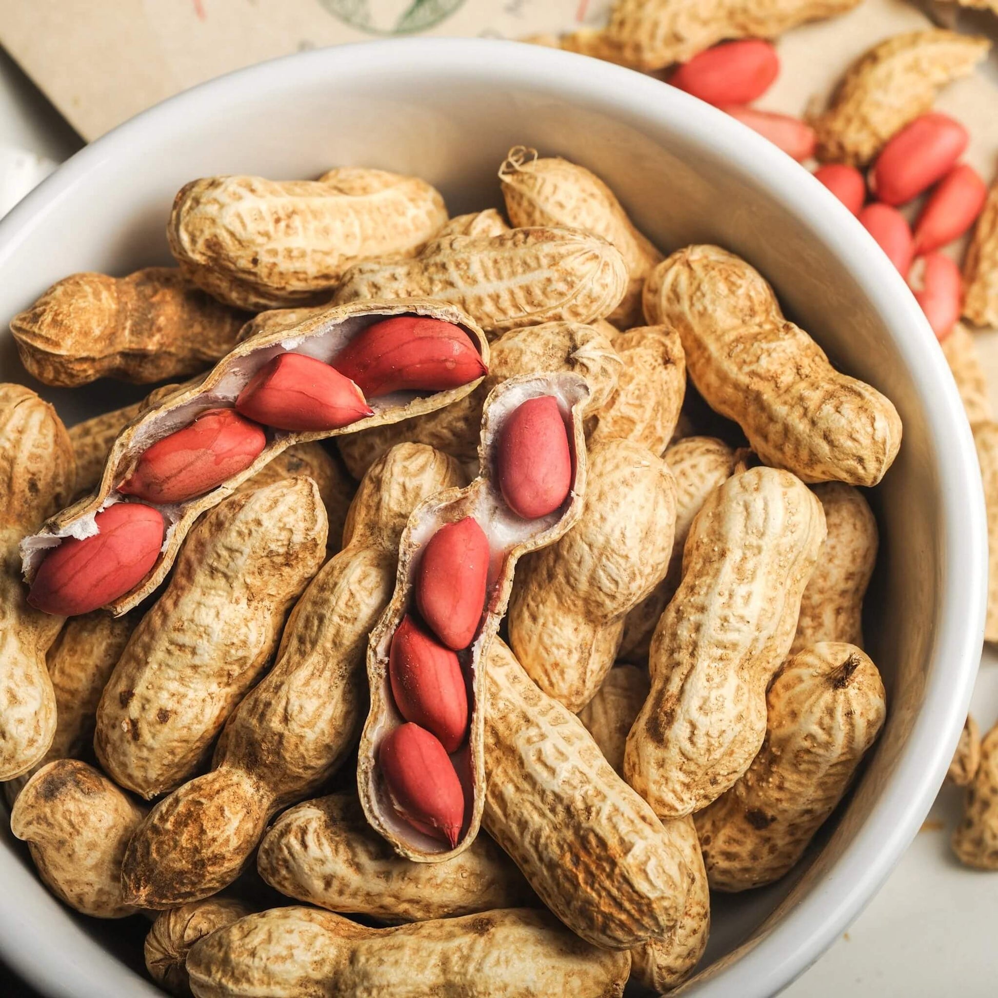 Peanut Seeds - Valencia 