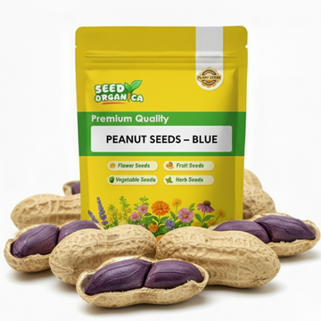 Peanut Seeds – Blue