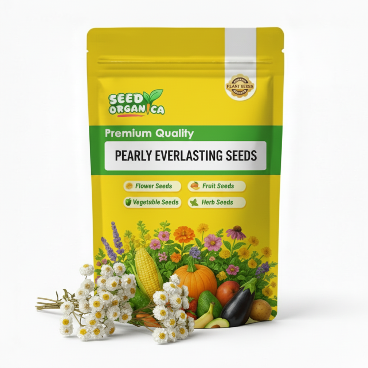 Pearly Everlasting Seeds