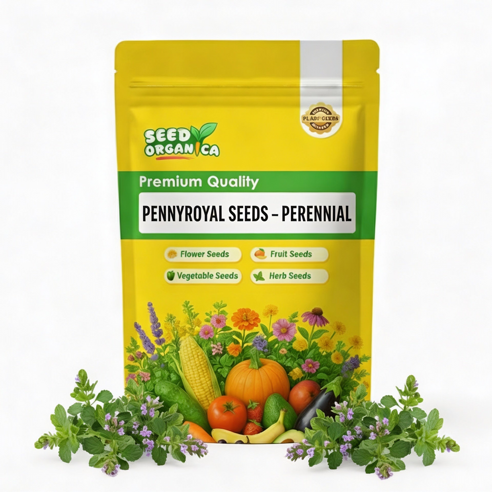 Pennyroyal Seeds – Perennial