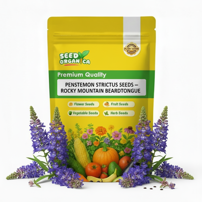 Penstemon Strictus Seeds – Rocky Mountain Beardtongue