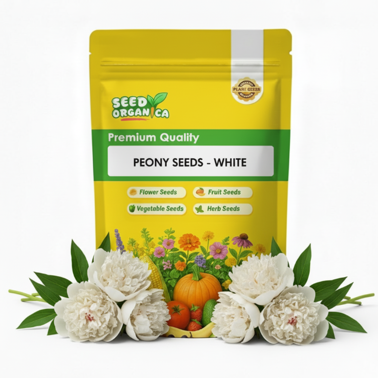 Peony Seeds - White