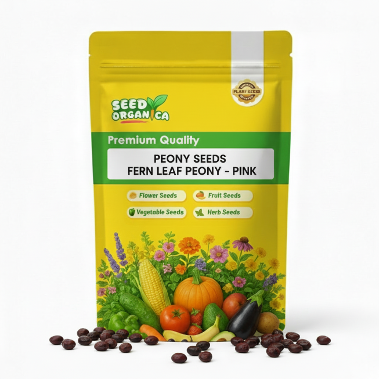 Peony Seeds Fern Leaf Peony– Pink