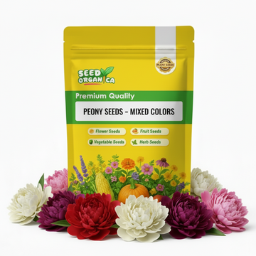 Peony Seeds – Mixed Colors