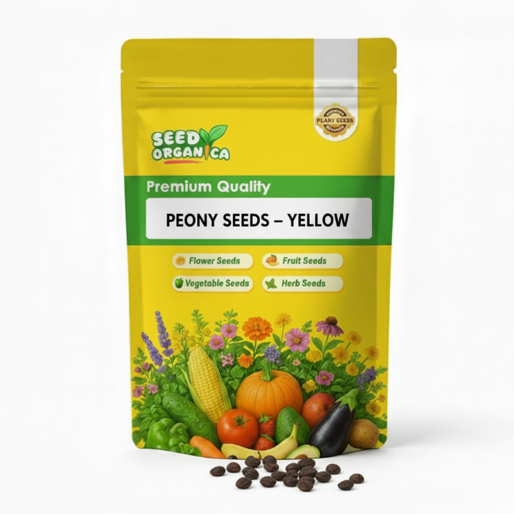 Peony Seeds – Yellow