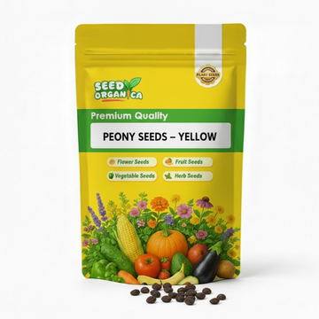 Peony Seeds – Yellow