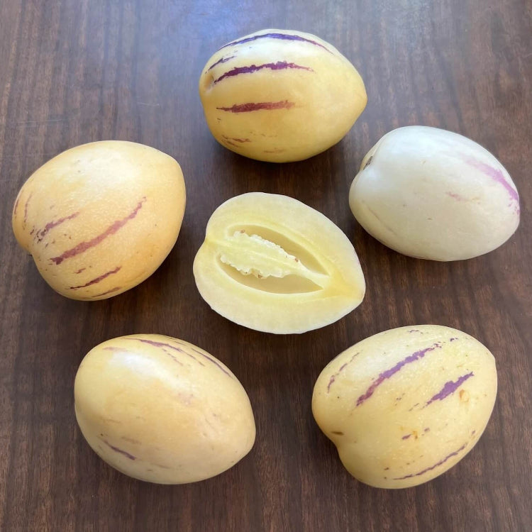 Pepino Dulce Melon Seeds