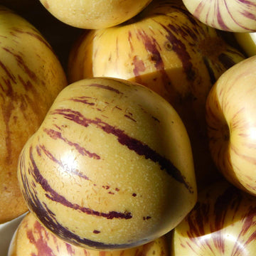 Pepino Seeds – Melon Pear