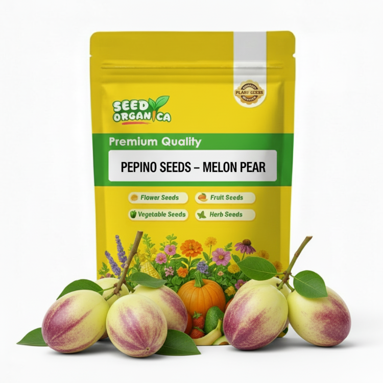 Pepino Seeds – Melon Pear