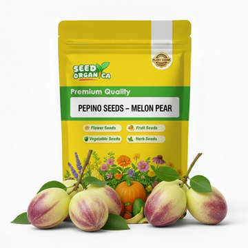 Pepino Seeds – Melon Pear