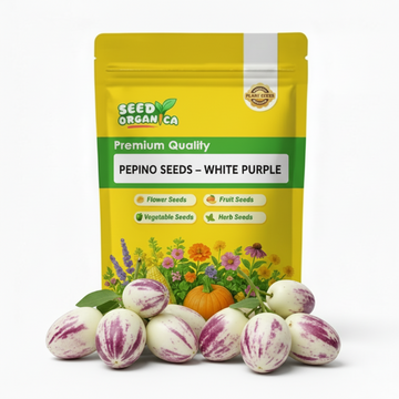 Pepino Seeds – White Purple