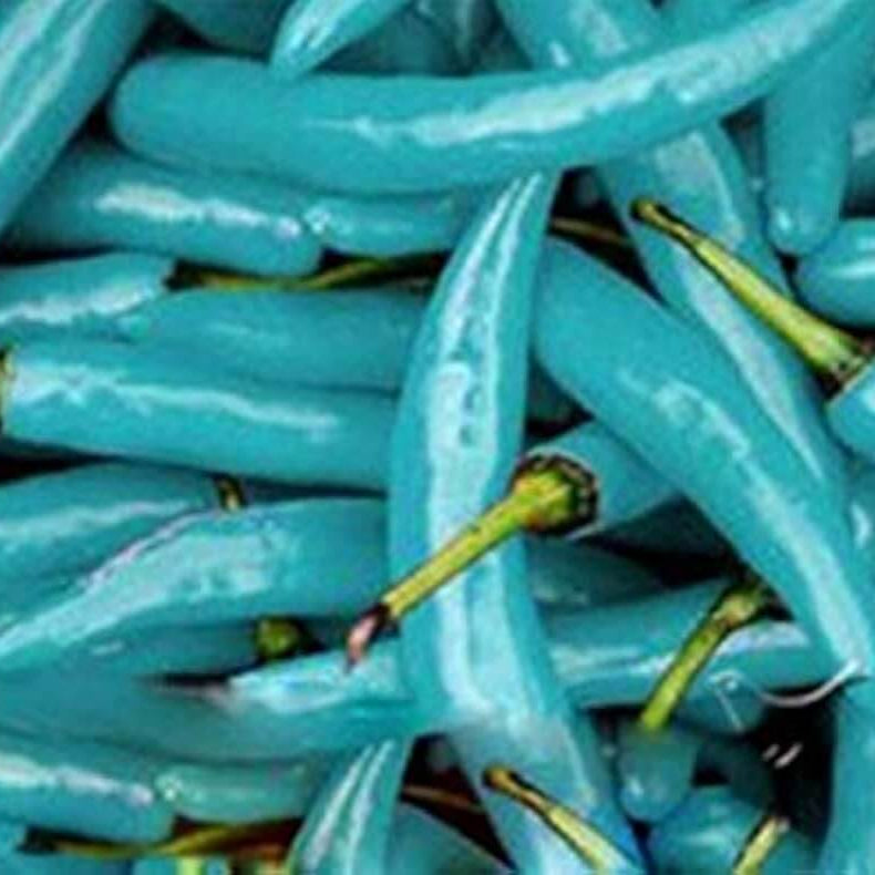 Pepper Seeds - Turquoise