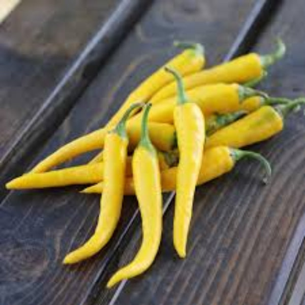 Pepper Seeds - Yellow Bedder Macedonian
