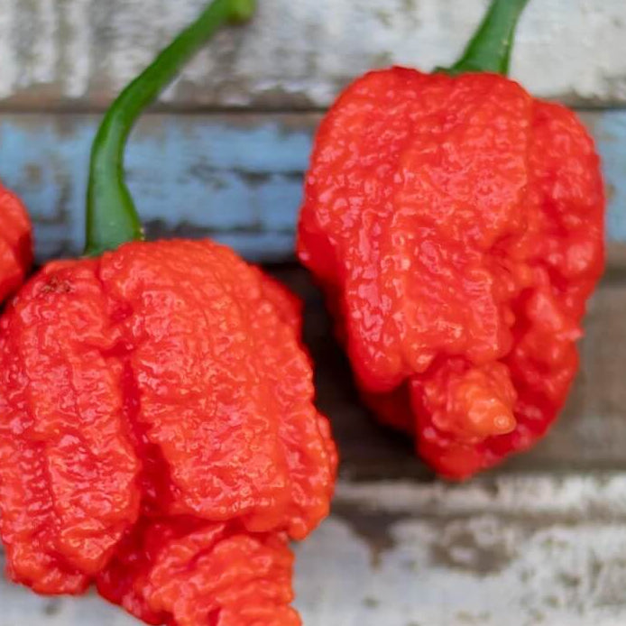 Pepper Seeds – Hurt Berry