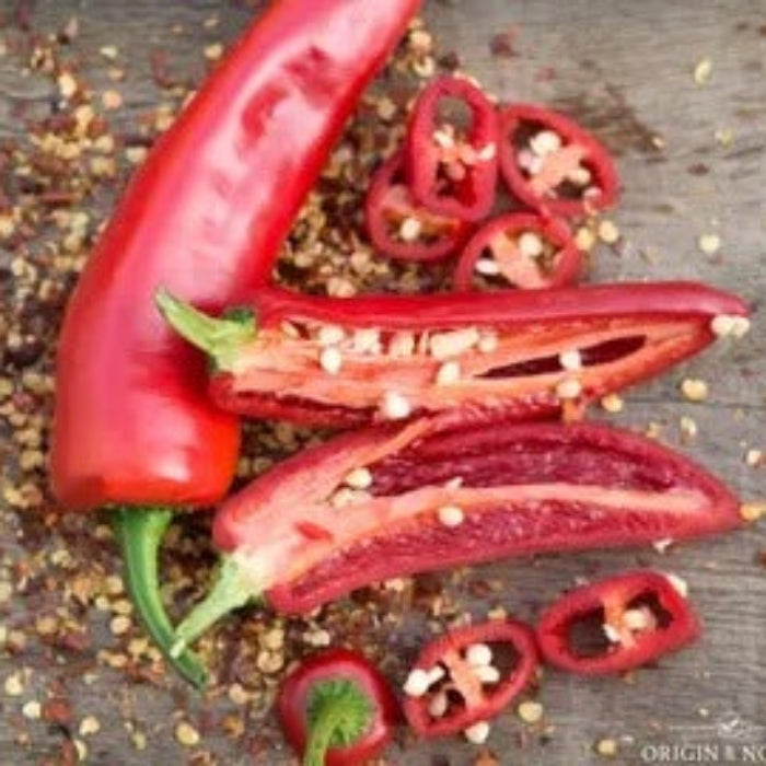 Pepper Seeds - Jim Legacy 