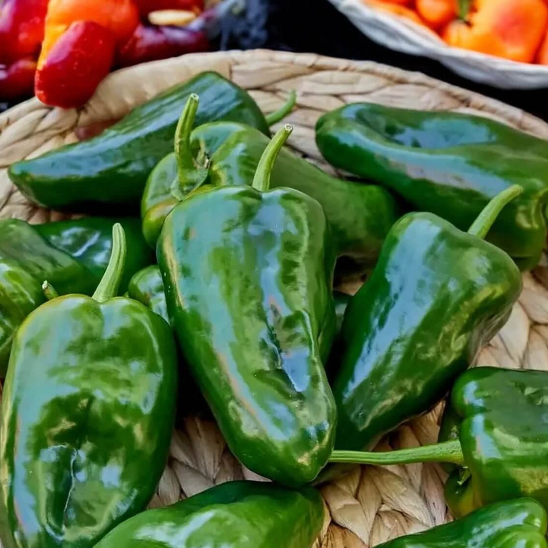 Pepper Seeds - Poblano