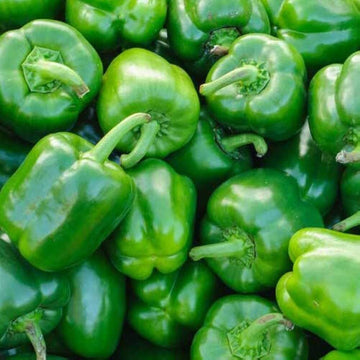 Pepper Seeds – Capsicum